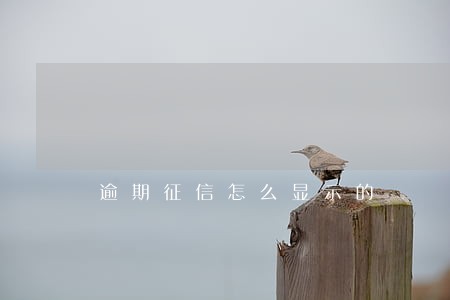 逾期征信怎么显示的 逾期征信怎么显示的