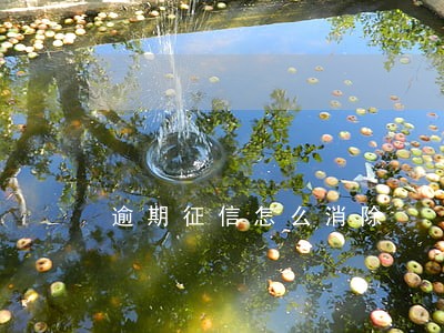 逾期征信怎么消除 逾期征信怎么消除