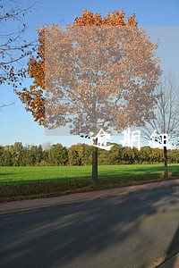 逾期征信怎么计算 逾期征信怎么计算