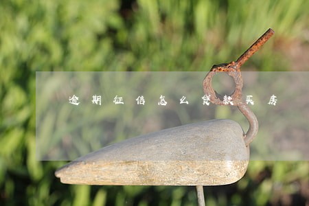 逾期征信怎么贷款买房 逾期征信怎么贷款买房