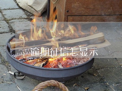 逾期征信怎显示 逾期征信怎显示