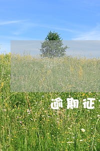 逾期征信怎样恢复 逾期征信怎样恢复