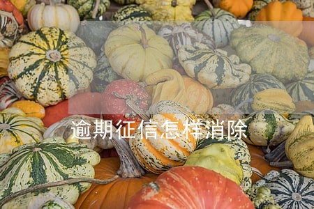 逾期征信怎样消除 逾期征信怎样消除