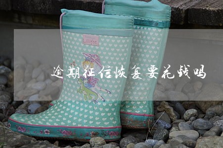逾期征信恢复要花钱吗 逾期征信恢复要花钱吗