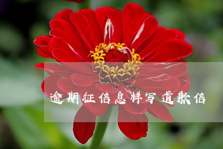 逾期征信息样写道歉信 逾期征信息样写道歉信