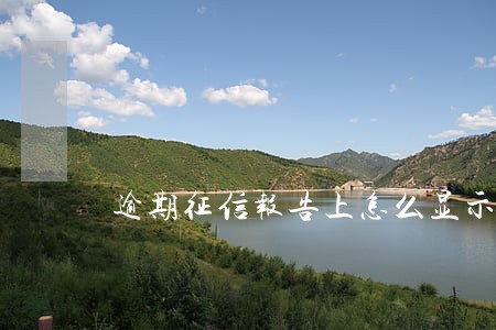 逾期征信报告上怎么显示