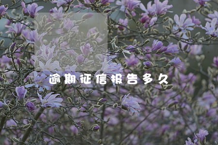 逾期征信报告多久 逾期征信报告多久