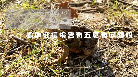 逾期征信报告有五页有问题吗 逾期征信报告有五页有问题吗