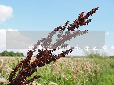 逾期征信显示什么字母 逾期征信显示什么字母