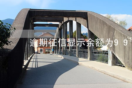 逾期征信显示余额为999 逾期征信显示余额为999