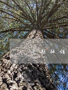 逾期征信更新后能买车买房吗 逾期征信更新后能买车买房吗