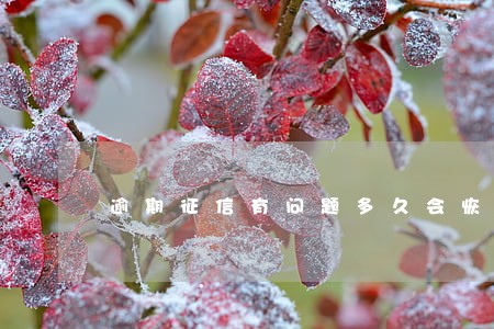 逾期征信有问题多久会恢复 逾期征信有问题多久会恢复
