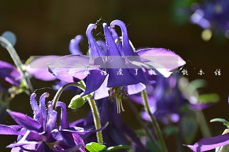 逾期征信没了能不能办信用卡 逾期征信没了能不能办信用卡