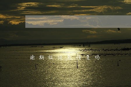 逾期征信能修复吗