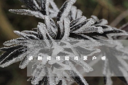 逾期征信能成黑户嘛 逾期征信能成黑户嘛