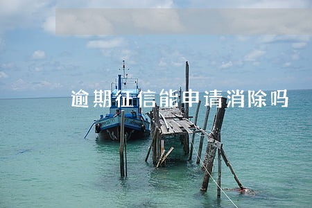 逾期征信能申请消除吗 逾期征信能申请消除吗