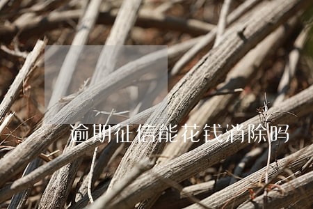 逾期征信能花钱消除吗 逾期征信能花钱消除吗