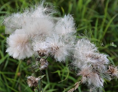 逾期征信花了可以借钱 逾期征信花了可以借钱
