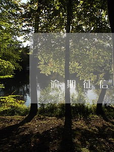 逾期征信花能下款的app 逾期征信花能下款的app