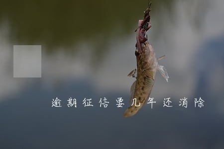 逾期征信要几年还消除 逾期征信要几年还消除
