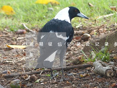 逾期征信记录会记录多久 逾期征信记录会记录多久