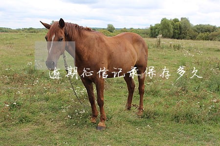 逾期征信记录保存多久 逾期征信记录保存多久