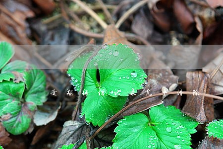 逾期征信记录几年清除 逾期征信记录几年清除