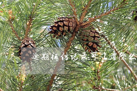 逾期征信记录可以消除么