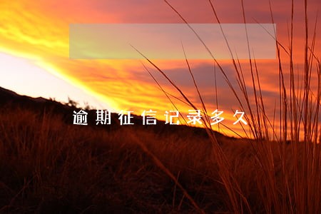 逾期征信记录多久