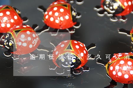 逾期征信记录多久可以消除 逾期征信记录多久可以消除