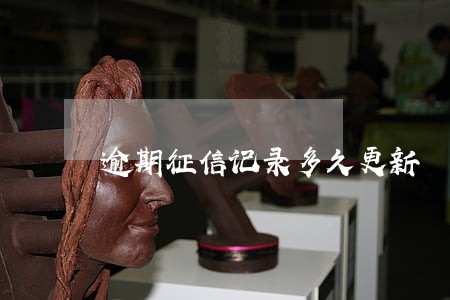 逾期征信记录多久更新 逾期征信记录多久更新