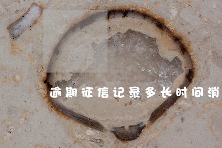 逾期征信记录多长时间消除 逾期征信记录多长时间消除