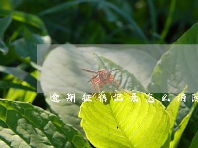 逾期征信记录怎么消除