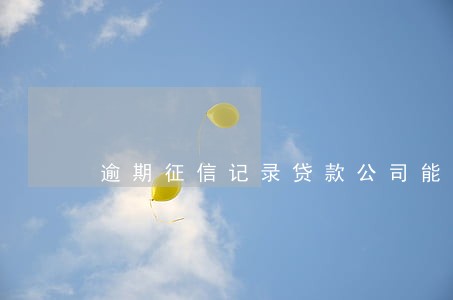 逾期征信记录贷款公司能消除吗 逾期征信记录贷款公司能消除吗