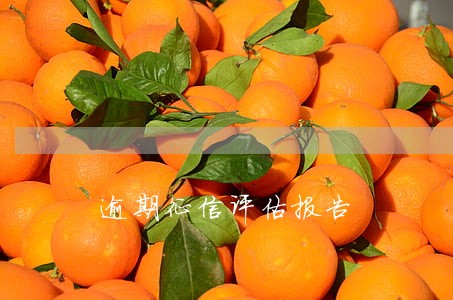 逾期征信评估报告 逾期征信评估报告