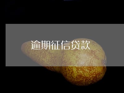 逾期征信贷款