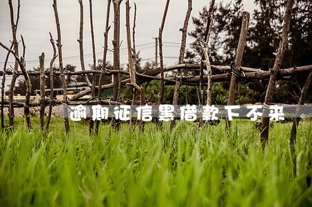 逾期征信黑借款下不来 逾期征信黑借款下不来