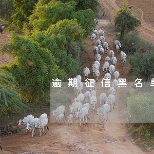 逾期征信黑名单多久 逾期征信黑名单多久
