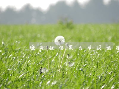 逾期征信黑名单没偿还能力