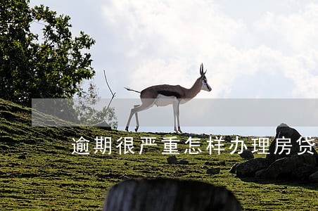 逾期很严重怎样办理房贷 逾期很严重怎样办理房贷