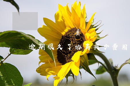 逾期很久了协商减少费用 逾期很久了协商减少费用