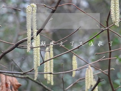 逾期很久了又催收了 逾期很久了又催收了
