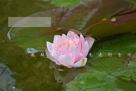 逾期很久了能免违约金吗 逾期很久了能免违约金吗