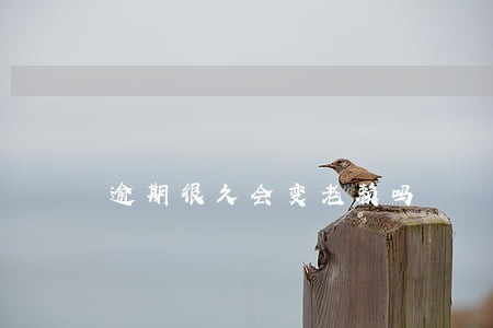 逾期很久会变老赖吗 逾期很久会变老赖吗