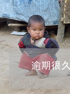 逾期很久催收公司可以查征信吗 逾期很久催收公司可以查征信吗