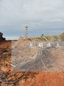 逾期很久本金可以打折吗
