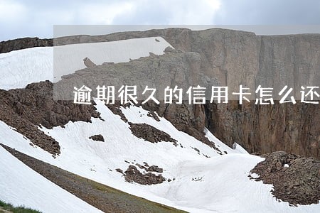 逾期很久的信用卡怎么还 逾期很久的信用卡怎么还