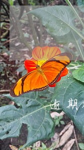 逾期很久的客户电话应该怎么说