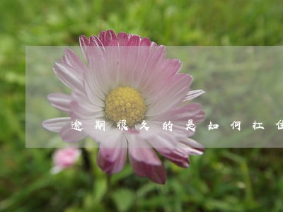 逾期很久的是如何扛住催收的 逾期很久的是如何扛住催收的