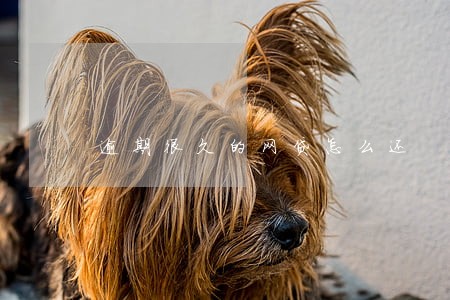 逾期很久的网贷怎么还 逾期很久的网贷怎么还